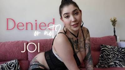 Denied Or Not? 2