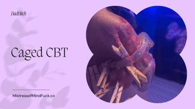Caged Sissy Cbt