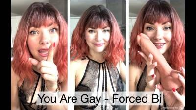 You Are Gay- Imposed Bi