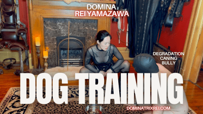 Dog Training. I Play With My Pet