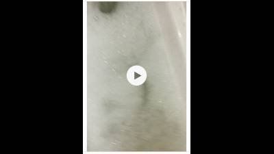 Sunshine Gets Wets In Bathtub