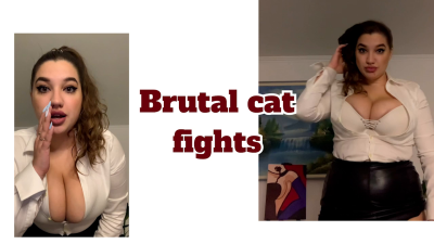 Brutal Cat Fights