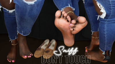 Sniff Don't Touch