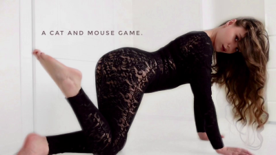 A Cat And Mouse Game