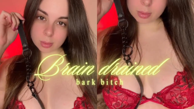 Brain Drained Bark Bitch
